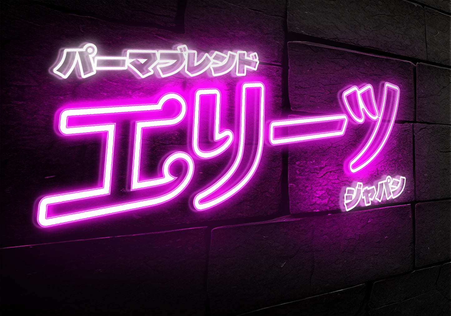 Elites × the Pigment アンバサダー合同オフ会チケット