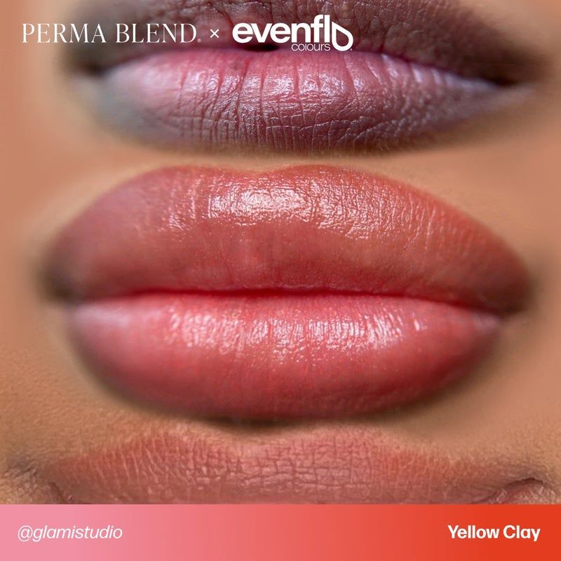 Evenflo - Yellow Clay