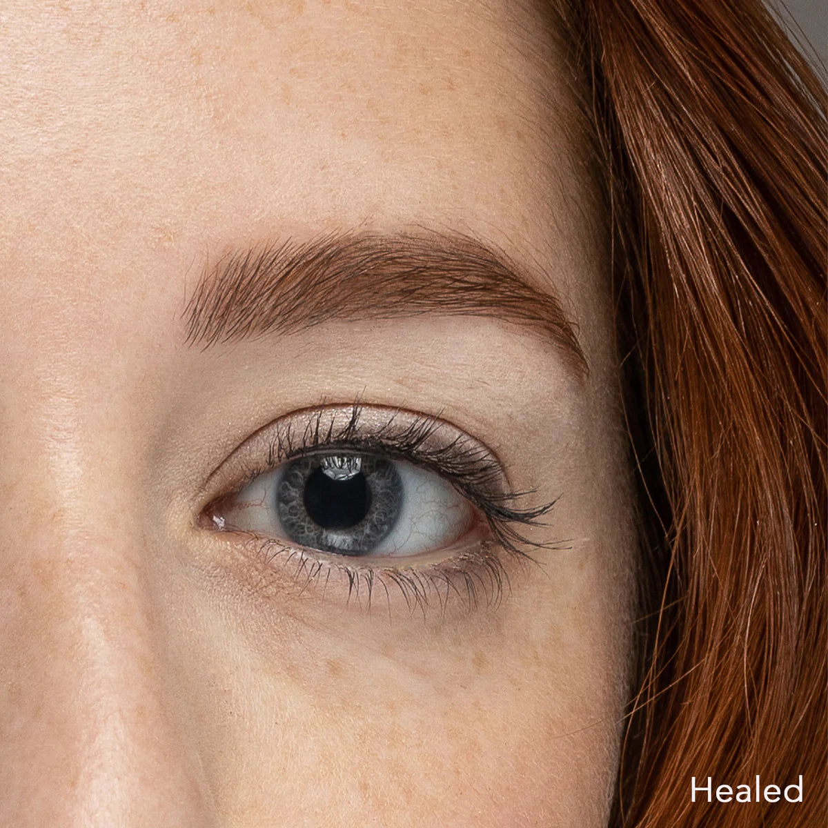 Tina Davies - Autumn