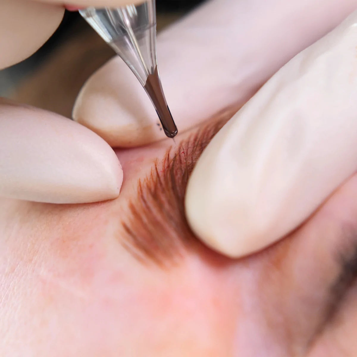 Tina Davies - Autumn