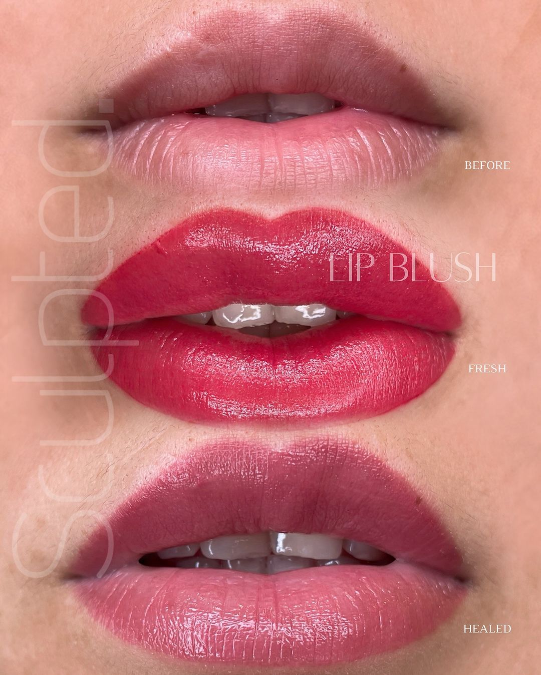 LUXE - Base 4 - Carla Ricciardone Embody