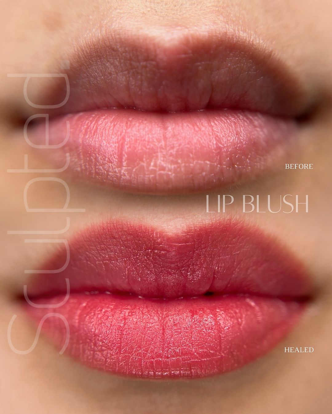LUXE - Base 4 - Carla Ricciardone Embody